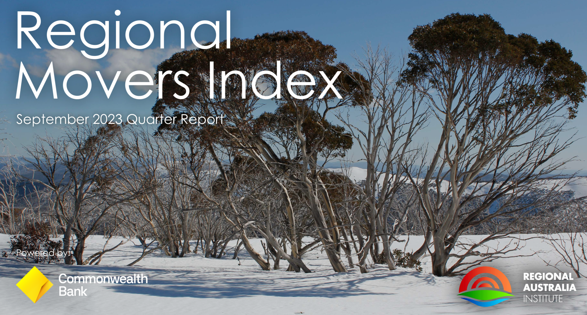 131123 - regional index report